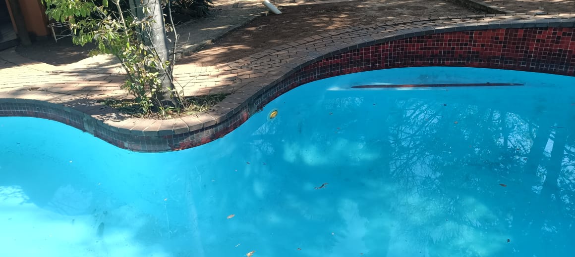 Curved swimming pool with clear blue water serviced by Michael Pool Group